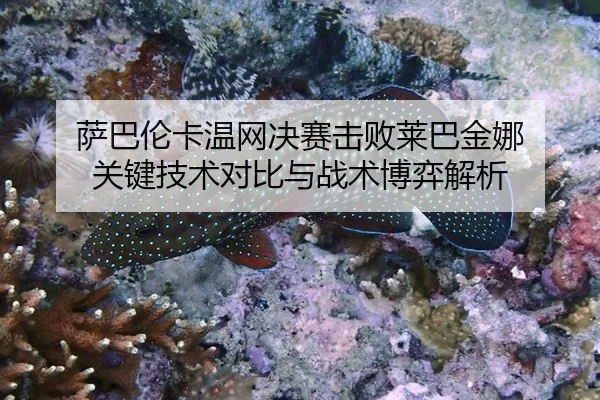 sa-ba-lun-ka-wen-wang-jue-sai-ji-bai-lai-ba-jin-na-guan-jian-ji-shu-dui-bi-yu-zhan-shu-bo-yi-jie-xi-2-359.jpg