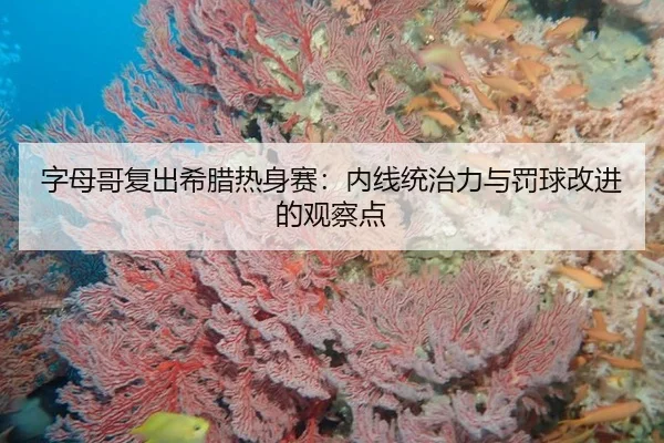zi-mu-ge-fu-chu-xi-la-re-shen-sai-nei-xian-tong-zhi-li-yu-fa-qiu-gai-jin-de-guan-cha-dian-3-500.jpg